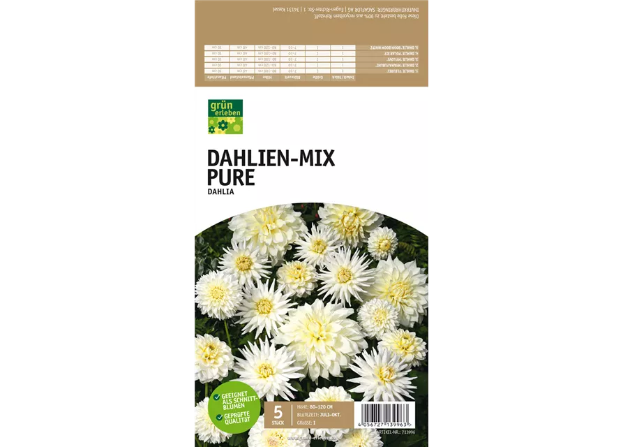 Dahlien-Mix Pure