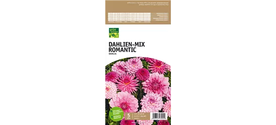 Dahlien-Mix Romantic