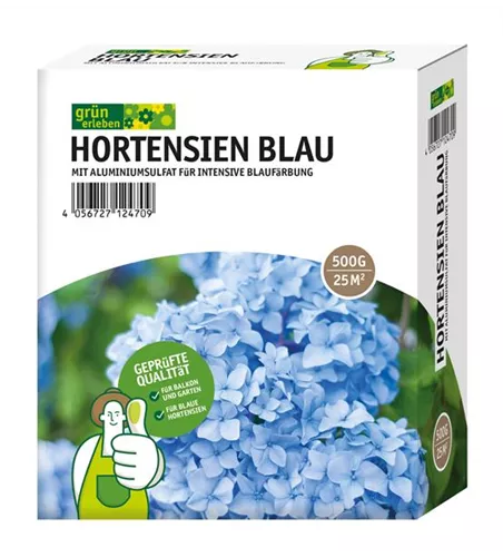 Hortensien Blau