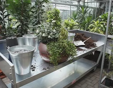 Blumenkübel - Dauerhafte Bepflanzung Blumenkübel - Dauerhafte Bepflanzung