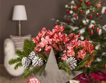 ADVENT - MIT SCHöNEN IDEEN DURCH DIE VORWEIHNACHTSZEIT ADVENT - MIT SCHöNEN IDEEN DURCH DIE VORWEIHNACHTSZEIT