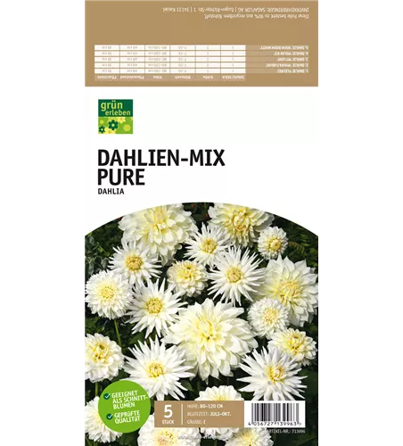 Dahlien-Mix Pure