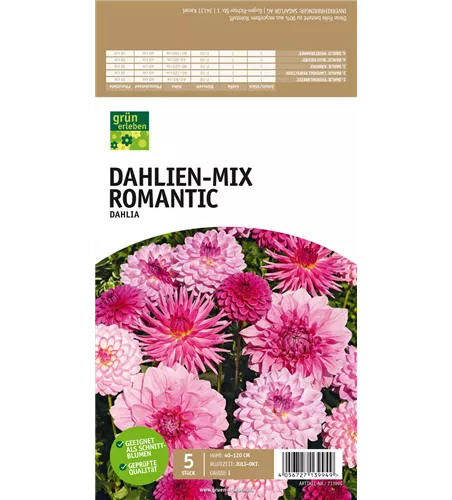 Dahlien-Mix Romantic
