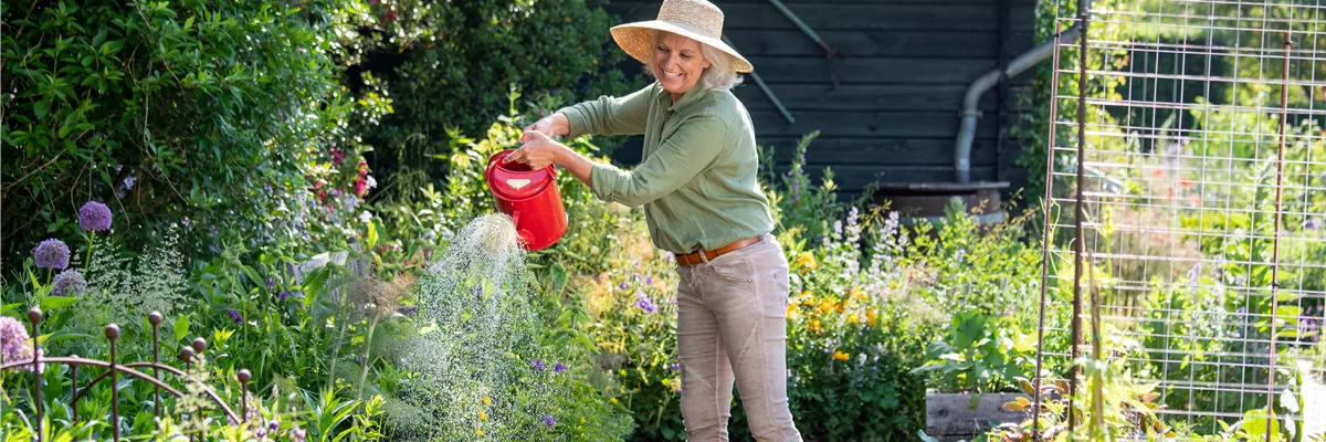 Gartenarbeit - Frau gießt ein Beet