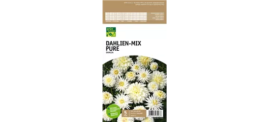 Dahlien-Mix Pure