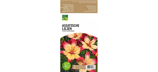 Asiatische Lilien