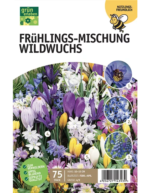 Frühlingswiese