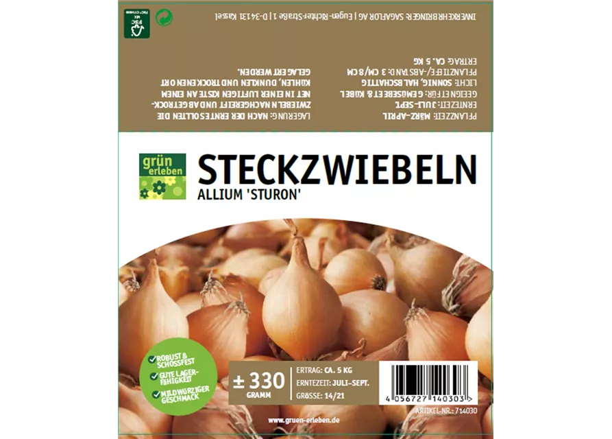 Steckzwiebeln