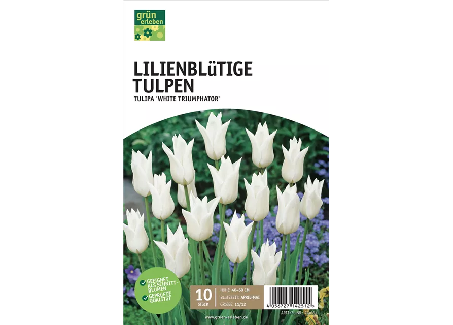 Tulpen lilienblütig 