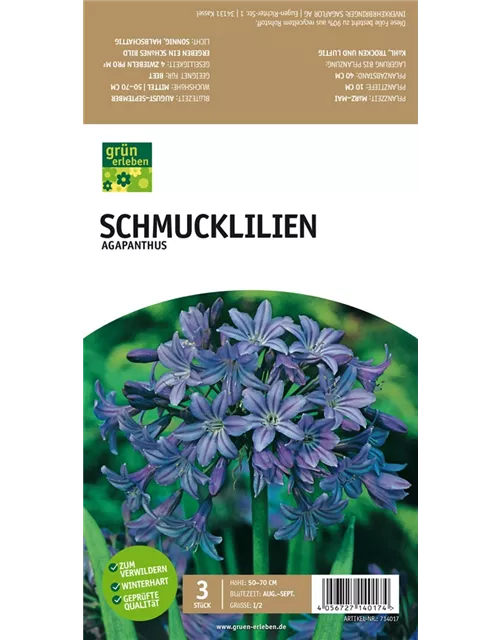 Schmucklilien