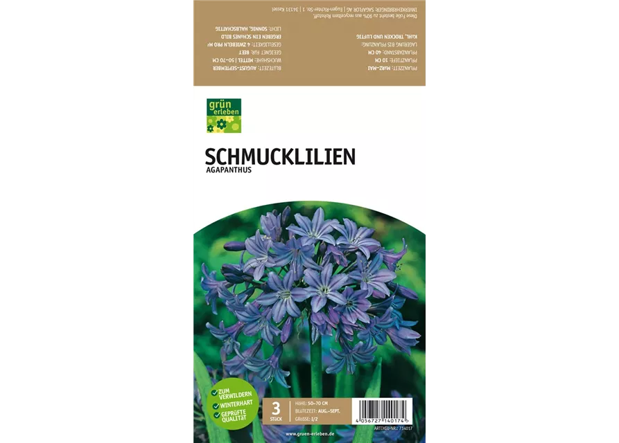 Schmucklilien