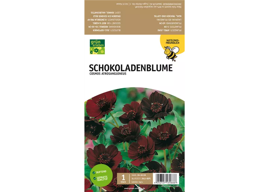 Schokoladenblume