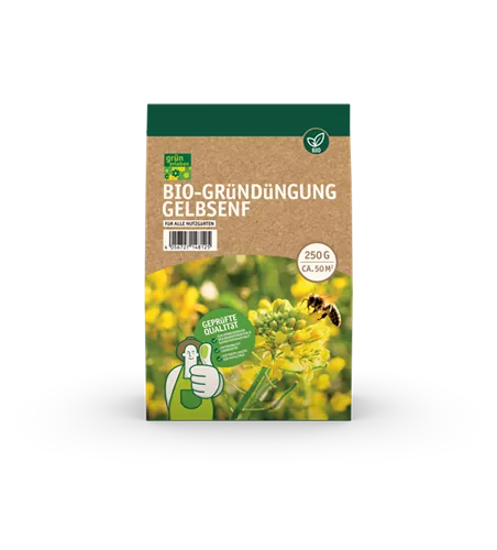 Bio-Gründüngung