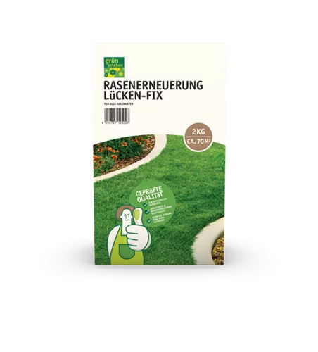 Rasenerneuerung Lücken-Fix