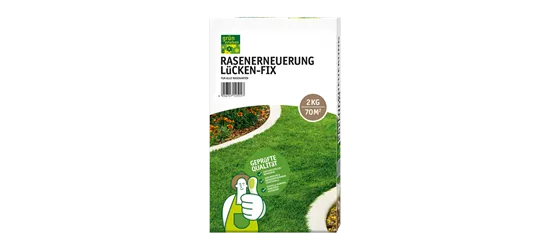 Rasenerneuerung Lücken-Fix